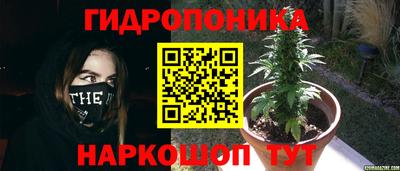 PSILOCYBIN Абинск