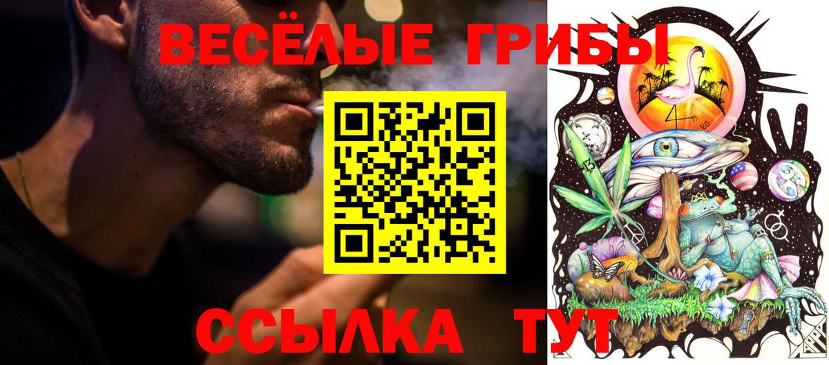 Галлюциногенные грибы MAGIC MUSHROOMS  Псилоцибиновые грибы мицелий  Вход с VPN  Александров 