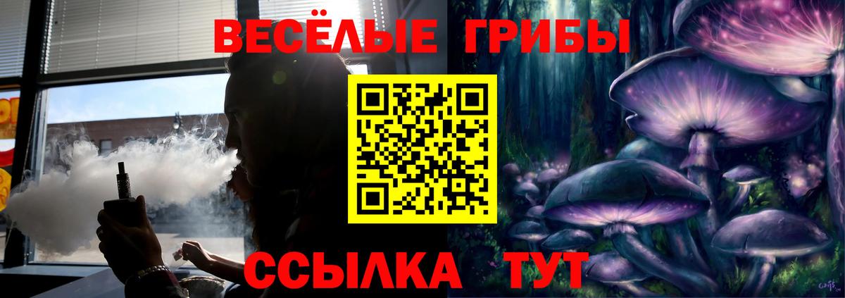 Псилоцибиновые грибы Cubensis Александров